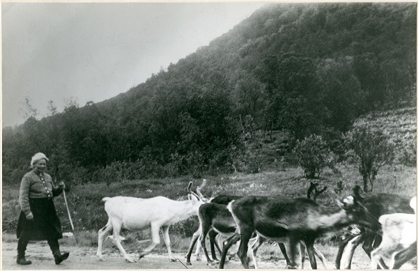 Bokslipp: Johan Borgos - Samer ved storhavet