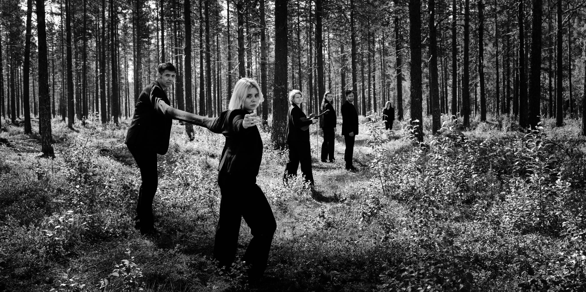 Danse staur, danse staur