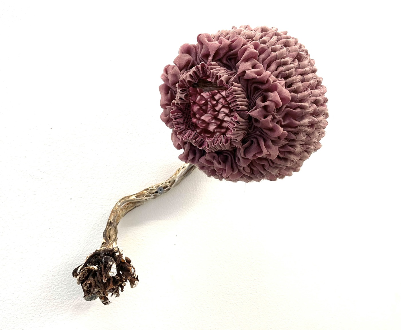 Motus Maris - Ingrid Larssen